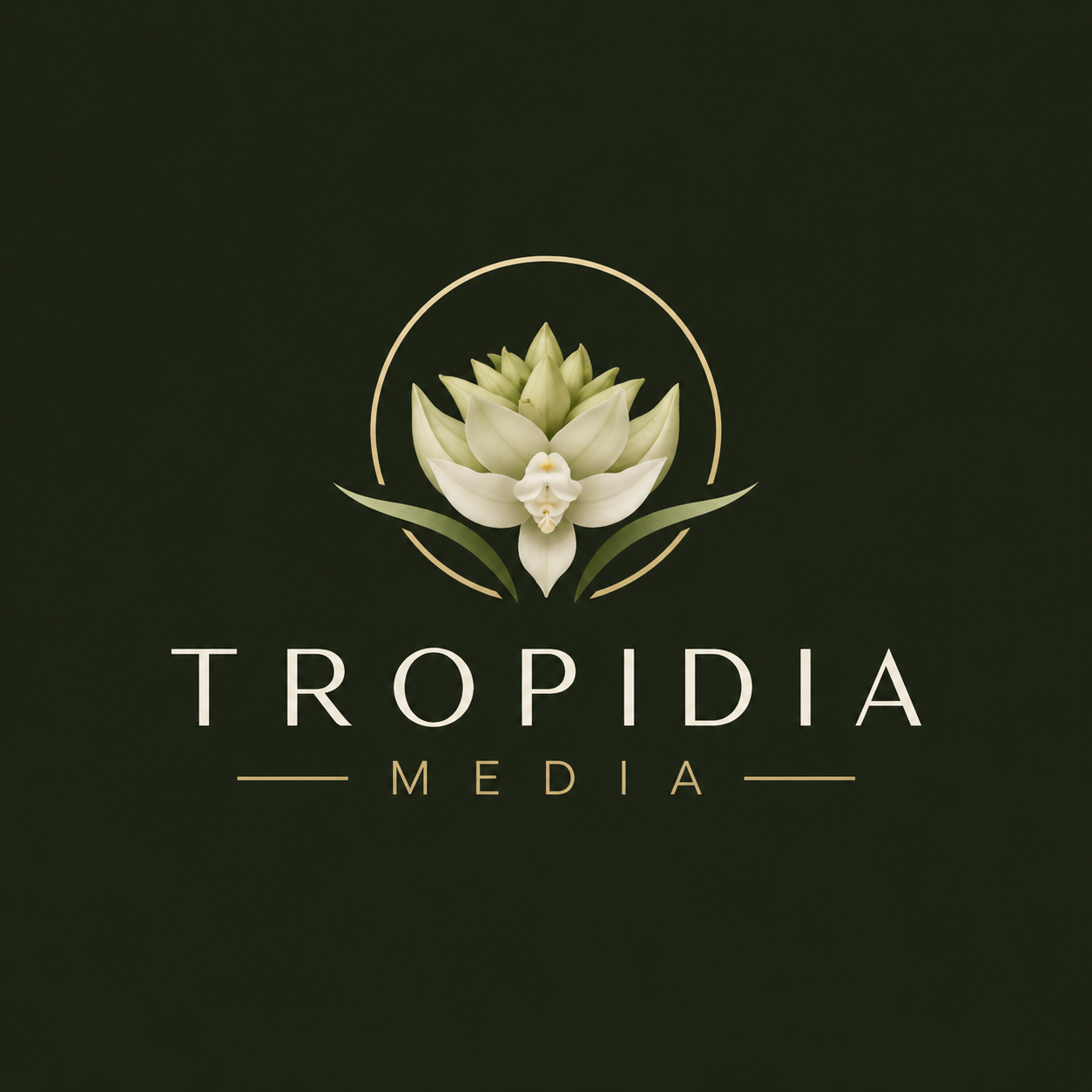 Tropidia Media Group logo